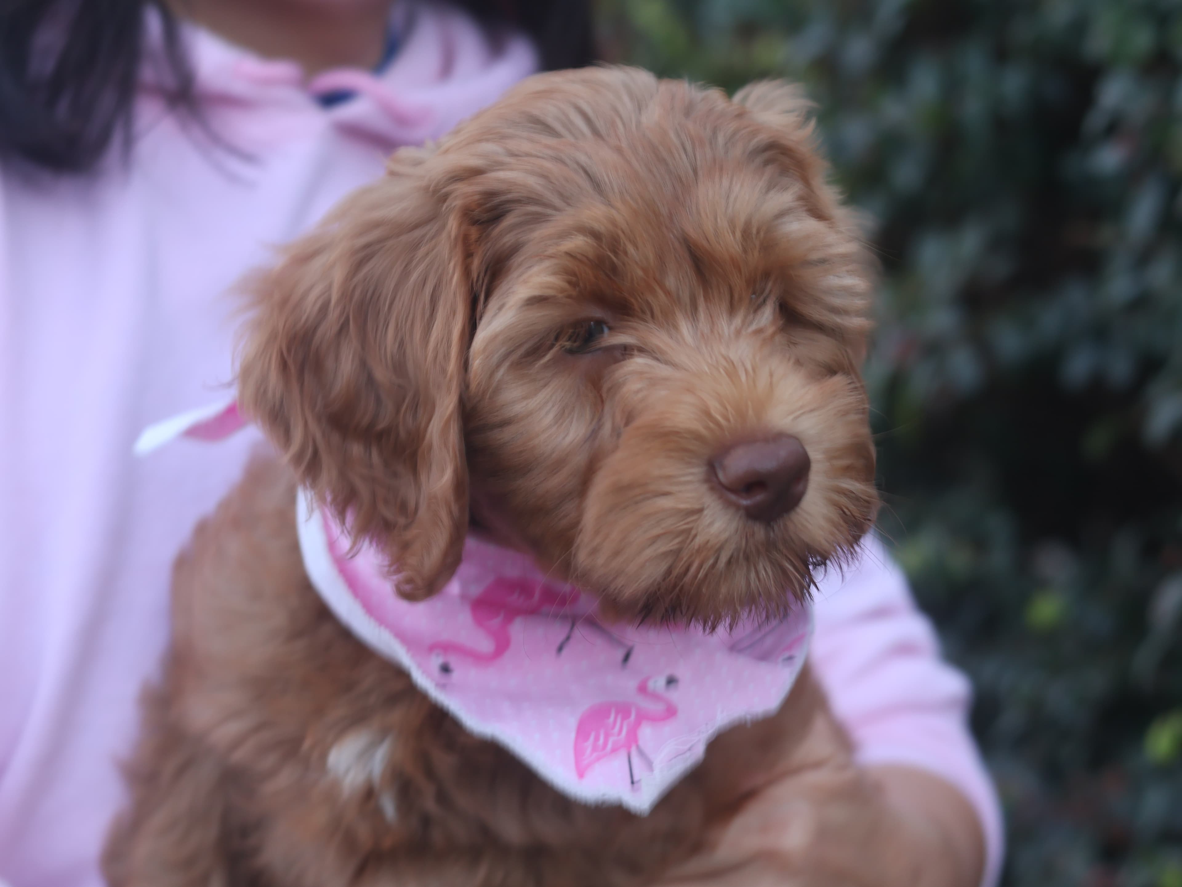 Molly